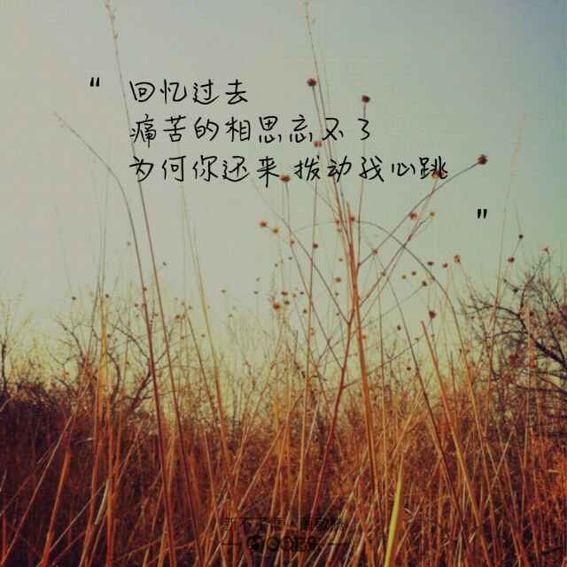 上善若水