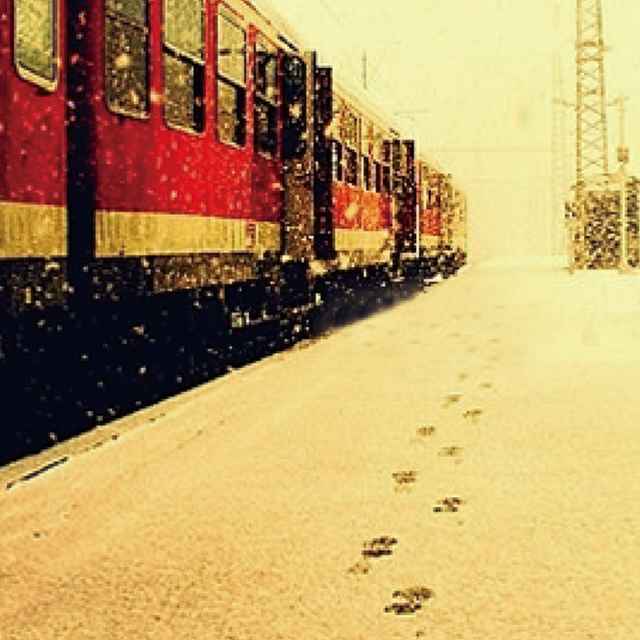 倾听雨的声音