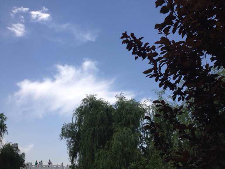 书友20161208223556