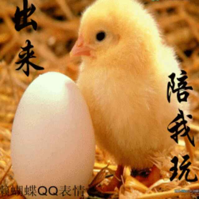 想你我无法入睡