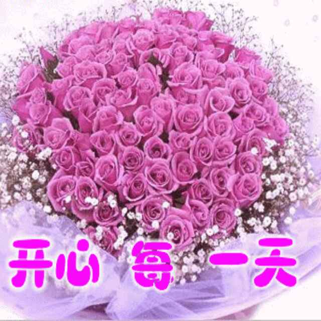 军_744
