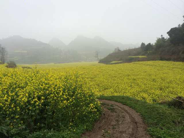 书友20160202170543