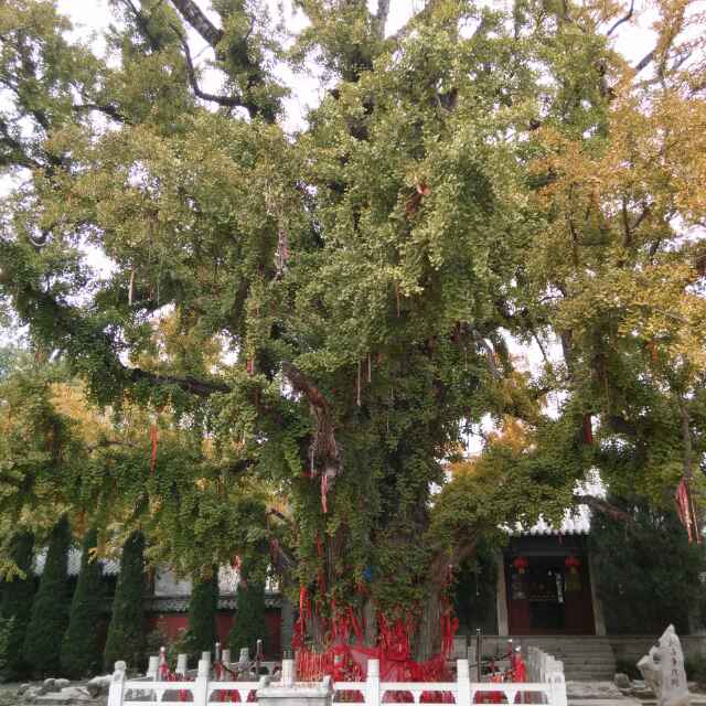 平安
