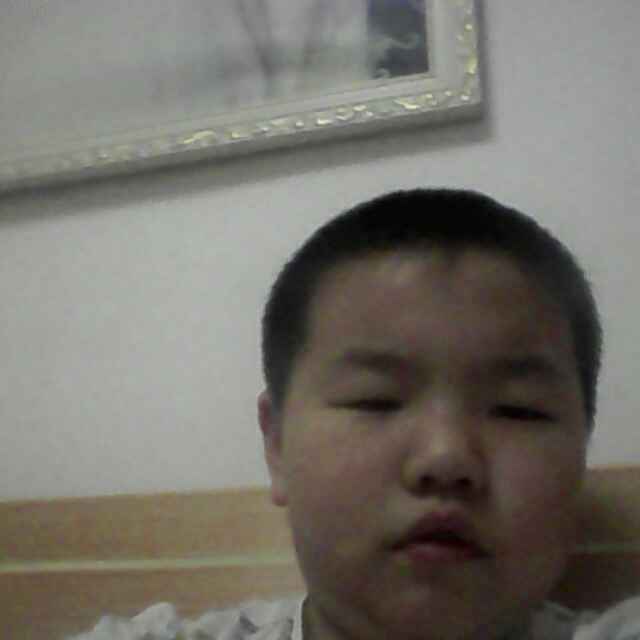 fang_273