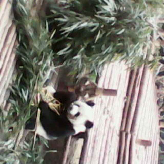 书友20160514131302