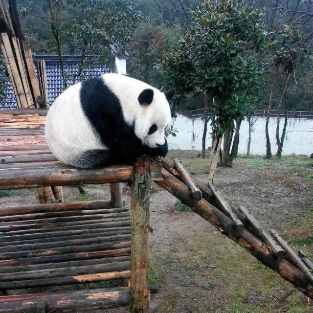 水辉