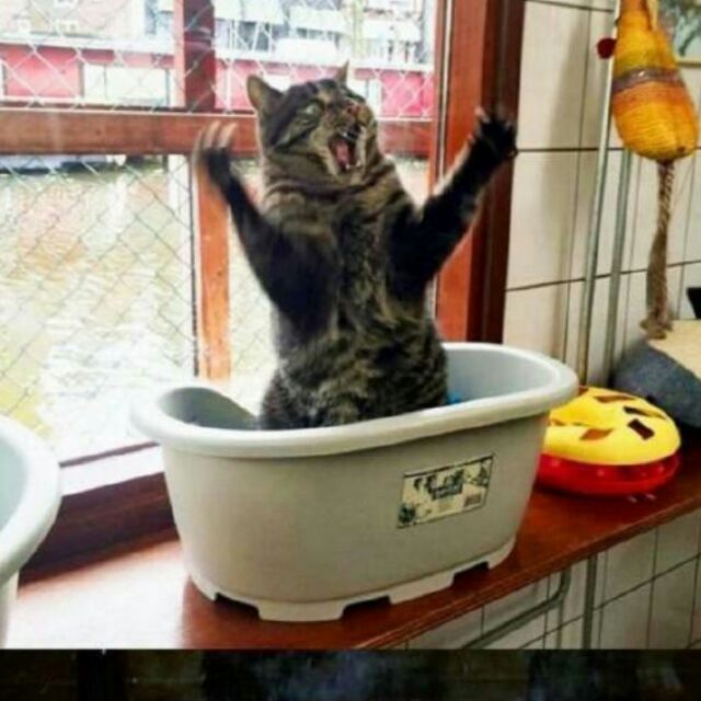 哈斯卡666