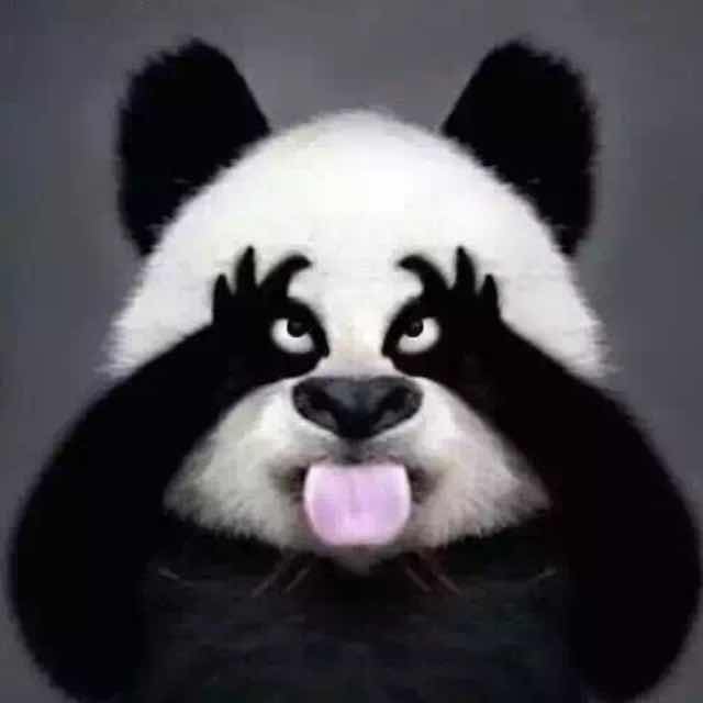 躲在墙角的猫