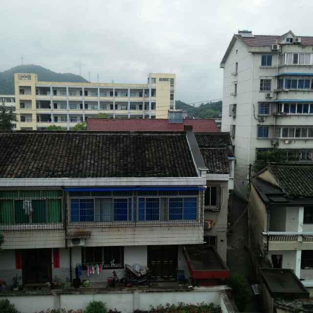 晴苗12138