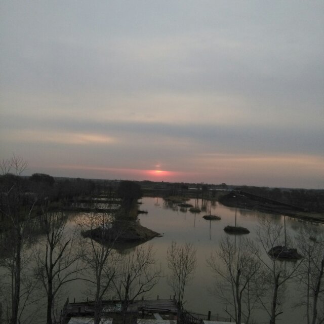 明