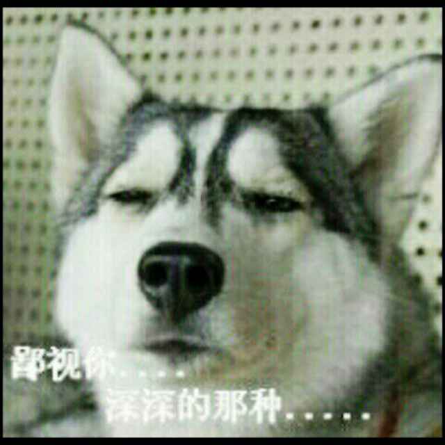 。。鄙。视。你 深深的那种。。。