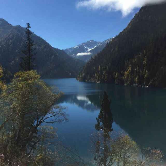 桃李满天下