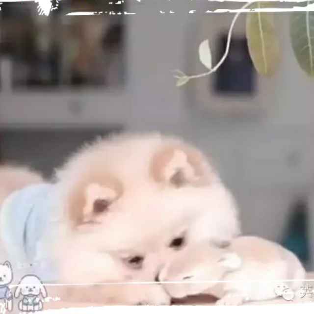 淡淡的忧伤
