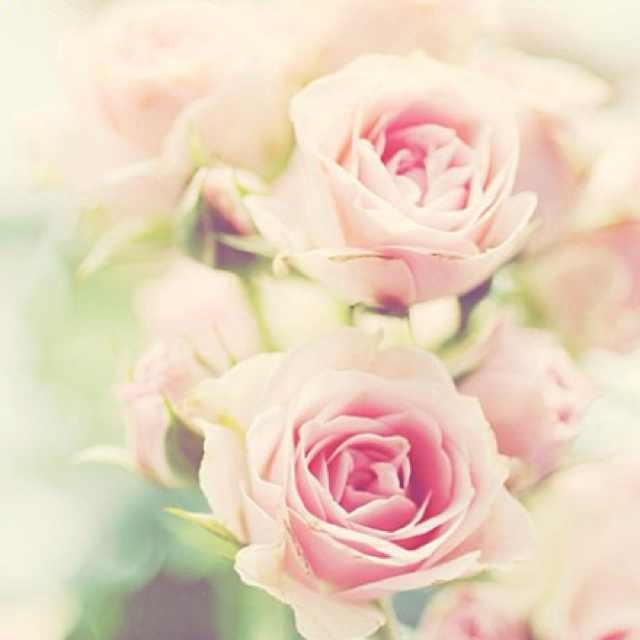 书友20170519145115