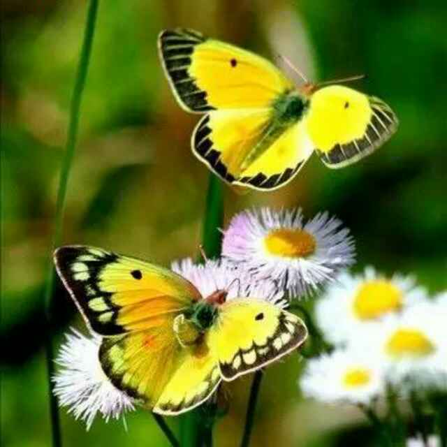 平凡的人，平凡的心