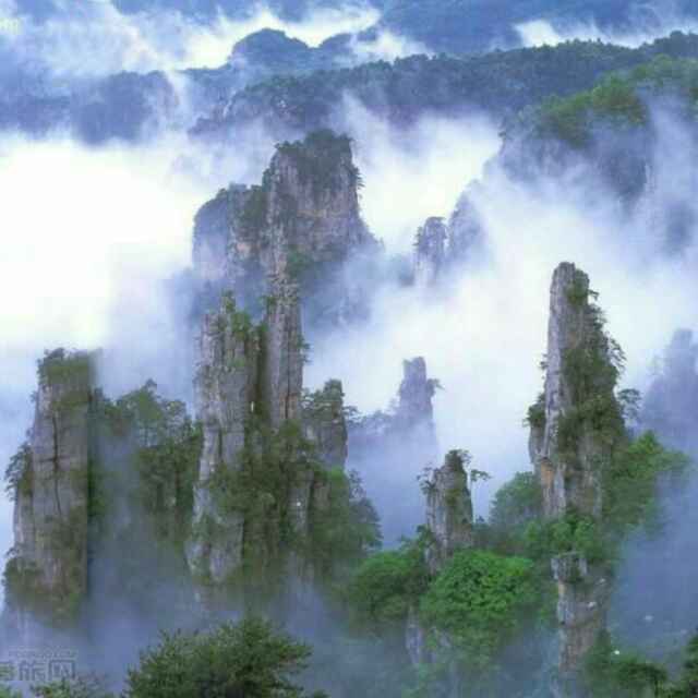 小海豚_29377084