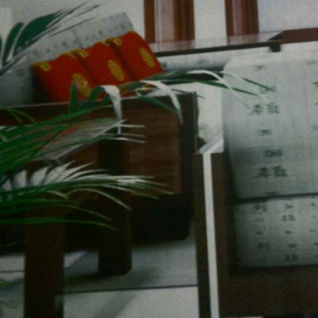 张召文
