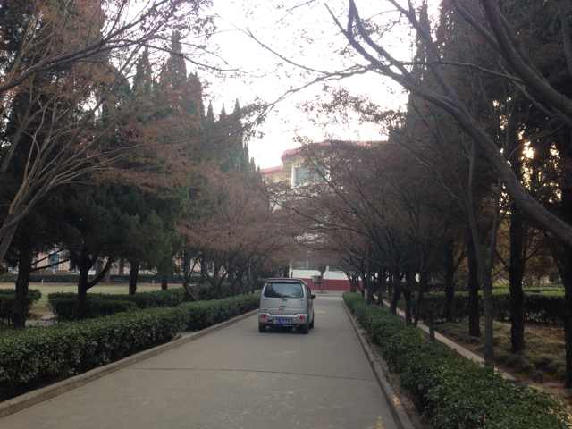 大东