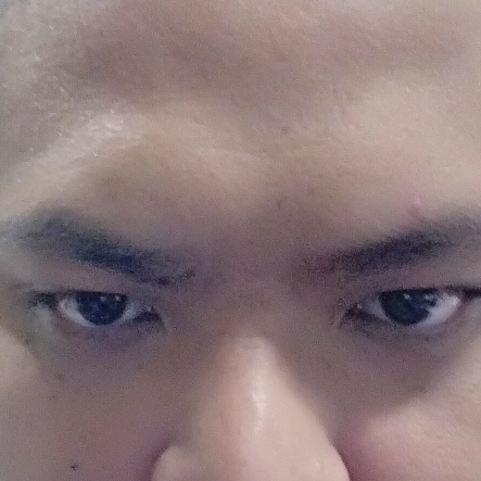 WenXiong