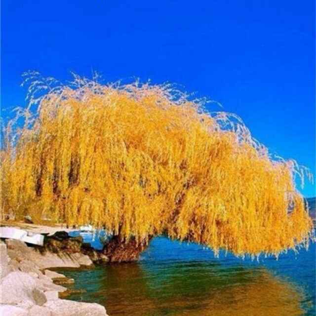 书友20160915213027