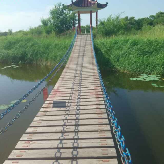 醉生梦醒