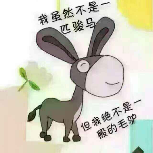 正在扛货的驴