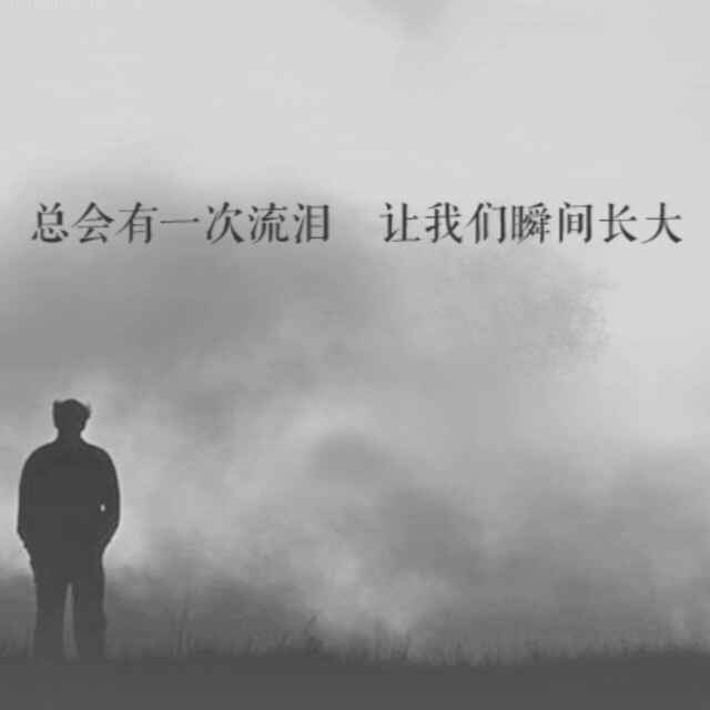 鑫龙