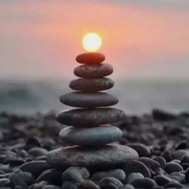 世纯