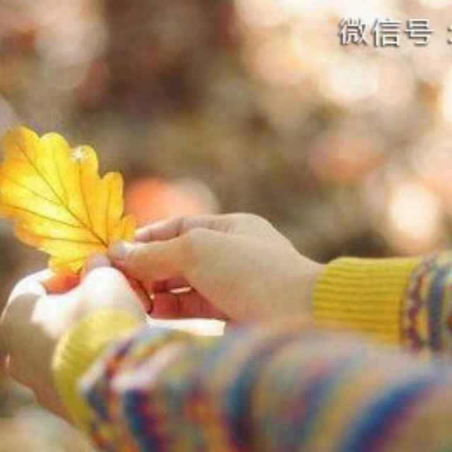 胡贵凤