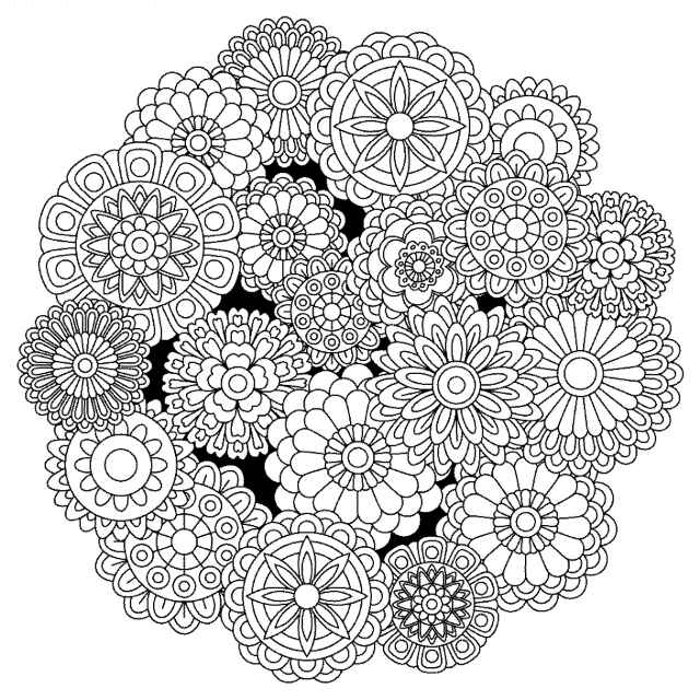 芽芽
