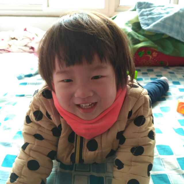 冬枣专家