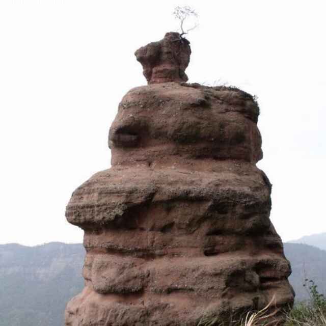 旅行者