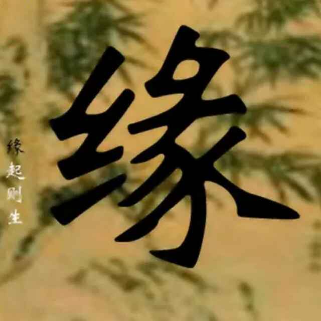 娄娄