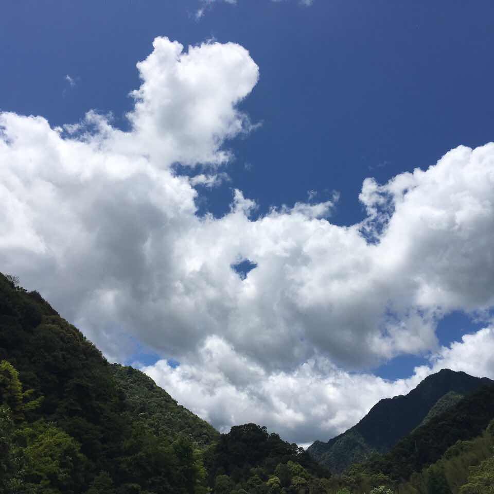 风吹疏竹