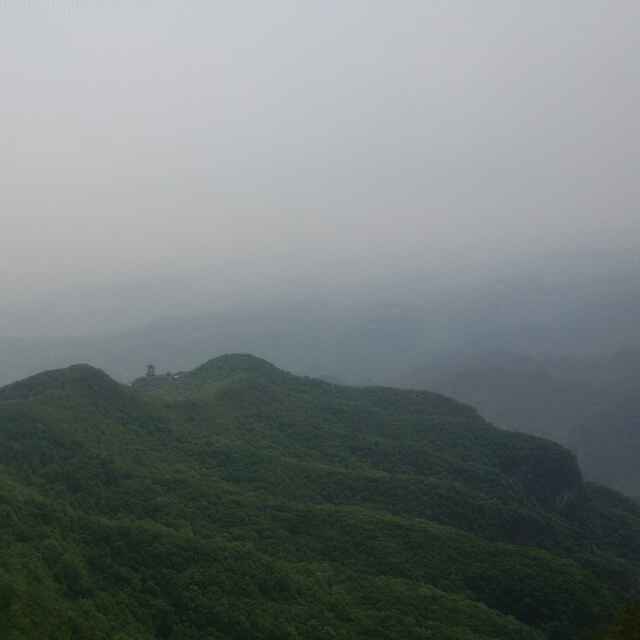 智志