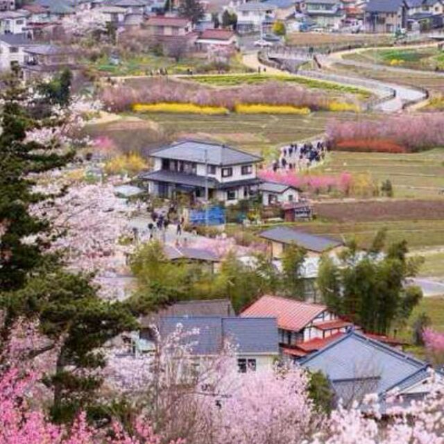 桃园