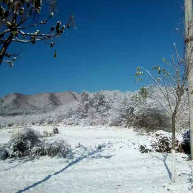 小波