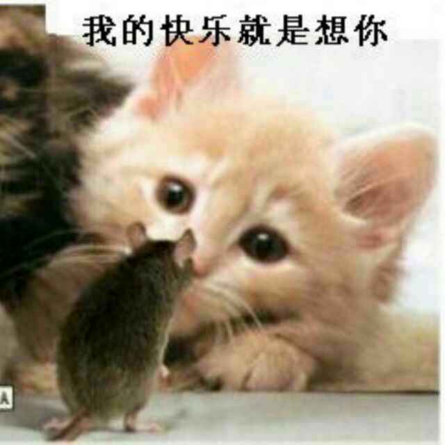 只为你