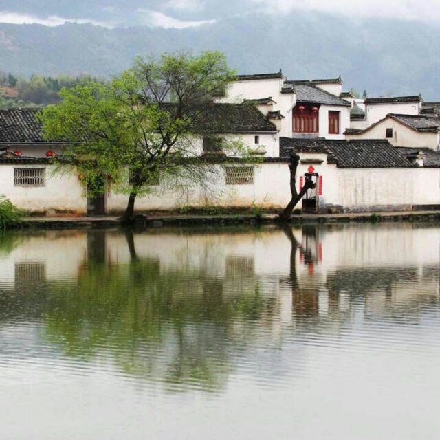 彬彬