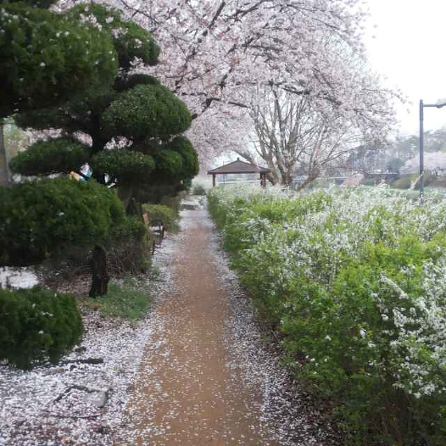 冬去春来