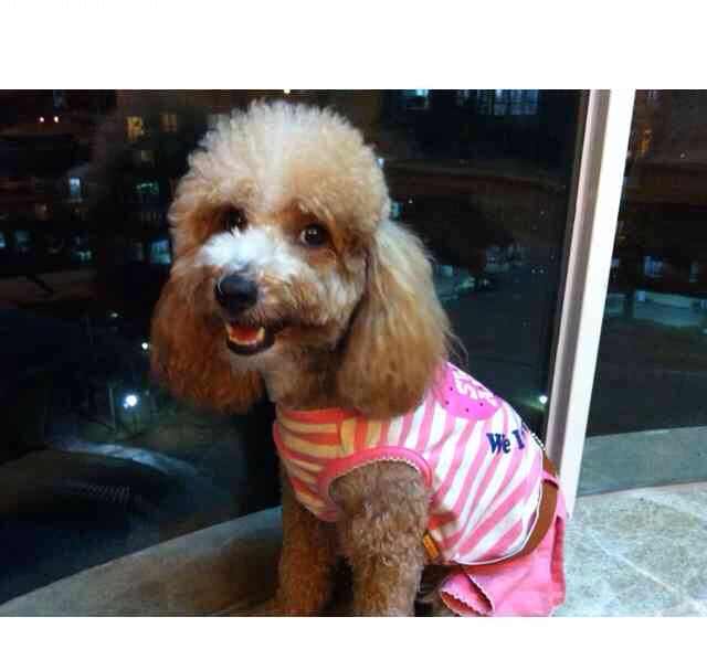 书友20170201134245