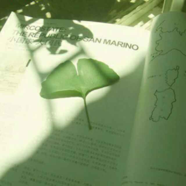 曾