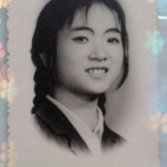 毛毛
