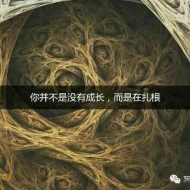 厚积薄发（薛冰）