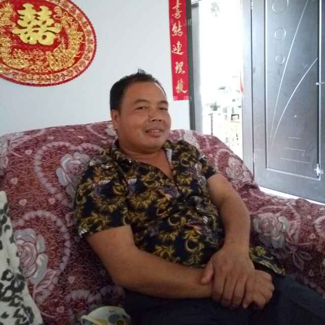 小海豚_32364584