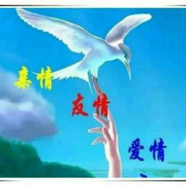 珍惜拥有的一切，错过了就会后
