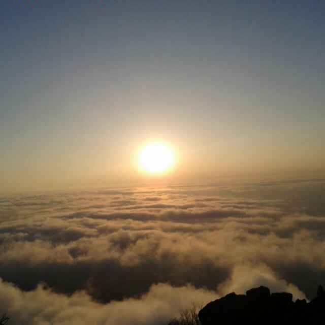 天马行空