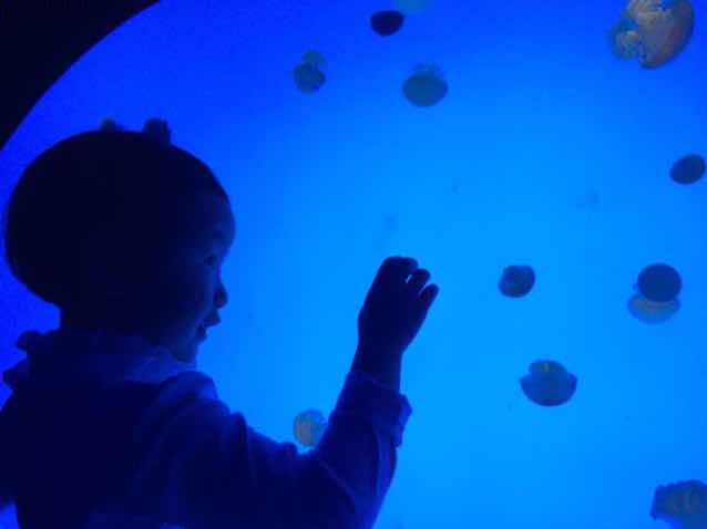 书友20160916215835