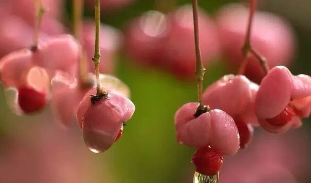 书友20160306144635