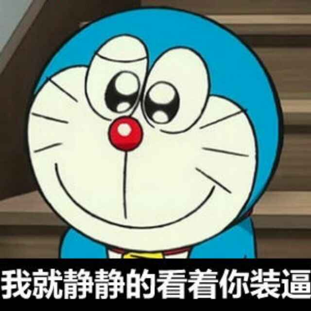 懒惰猪